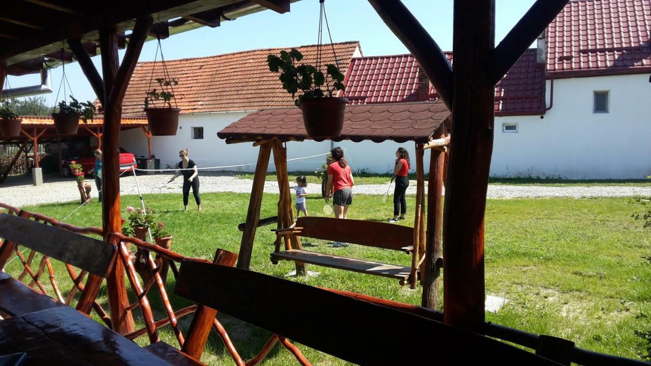 Апартаменти Casa Suzy & Roxy Arpasu de Jos Екстер'єр фото